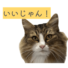 keiko_20260406191112