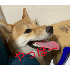 kumagaiNaoki_20260406191433