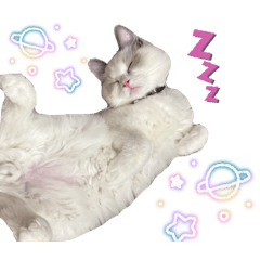 kuuchan_20260406190938