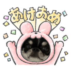 mikki_20260406192147