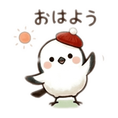 popola_20260406192357