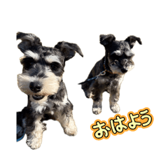 KEIKO_20260407151826