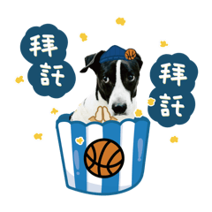 阿肥&Cash陪你聊天