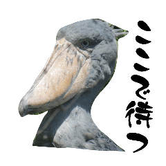 haruma_20260407134750