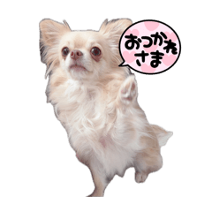 emiletohime_20260407153248