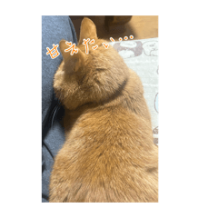 mochitaro_20260407154152