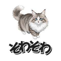 Fluffy Norwegian Forest Cat!