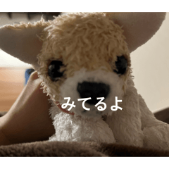 Gachokun_20260403202207