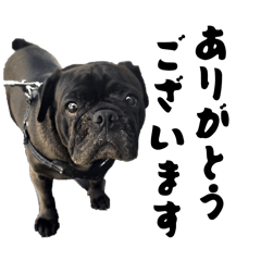 El Capitan_20260403165008