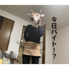 Mukesugita Orin_20260403203721