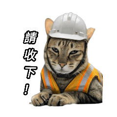 工地貓貓