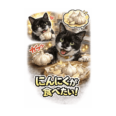 mo-chap_20260406203704