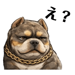 raycha_20260406191525