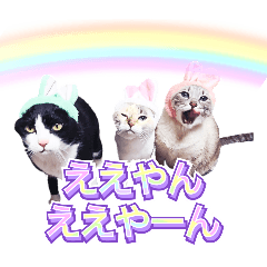 chimelt_20260406203152