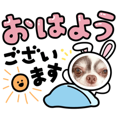 ayk_0jh_20260407142130