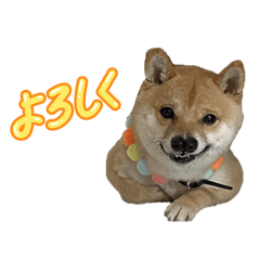 iammayu_20260406203819