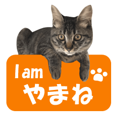 Cat stamp "Yamane"