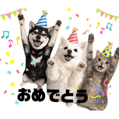 inuinu_20260407152852