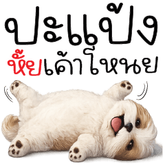 Pa-paeng hai khao noi ^^