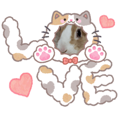 usahiyo1106_20260407155055