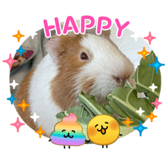 Asuka_20260403150350