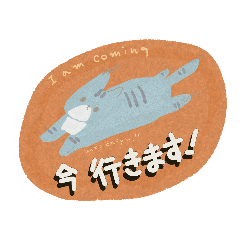 it's so typical of cat's