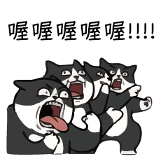 醜嫩貓咪-很嗆是吧1