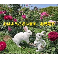 竹のグッドモーニング挨拶、ペット、花