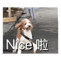 愈發奇怪的里歐