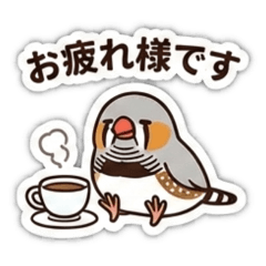 ai_20260406203639