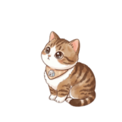 軟綿綿小虎斑的日常