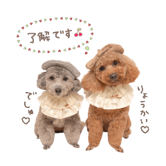 hikhimmama_20260407165236