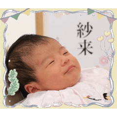 rinapin_20260406210918