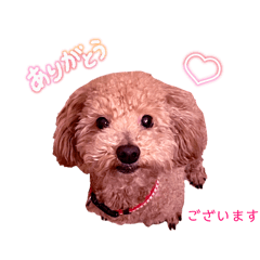 Reona_20260406210106