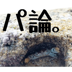 rrrr@tt222_20260406211110