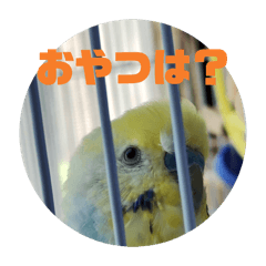 manzou_20260403173541