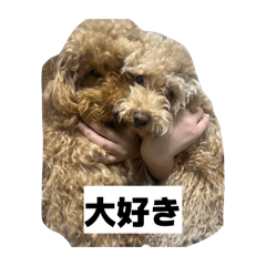 kinokino_20260403221559