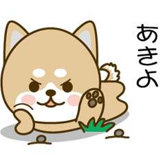 Shiba inu Sticker 004