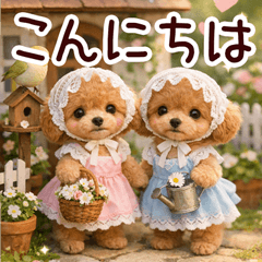 とびだす★トイプードル★ミニチュア★犬