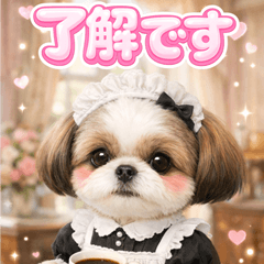 kawaii Shih Tzu p