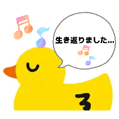 team pay_dori_20260403173352