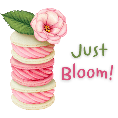 Pastel Macaron Happy Days