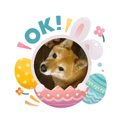 (*^^*)_20260403213337