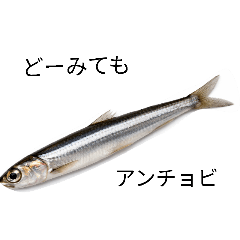 karaage_20260403211210