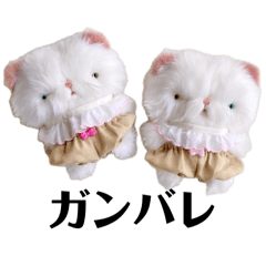 fumukuma_20260403212931