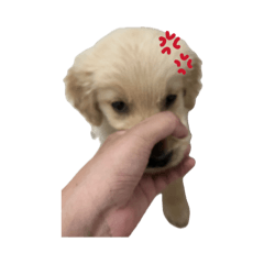 ocean blue_20260407105331