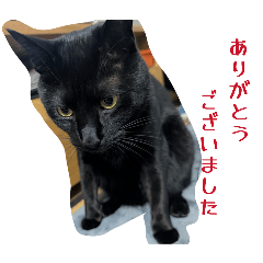 keeeeeeyseye1204_20260406221757