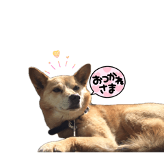 chan._20260406222130