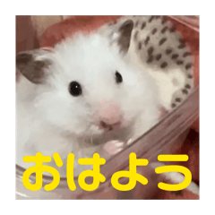 H&G_20260406215531
