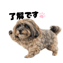 chaco_20260406221909